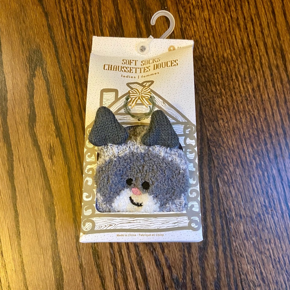 Raccoon reading socks